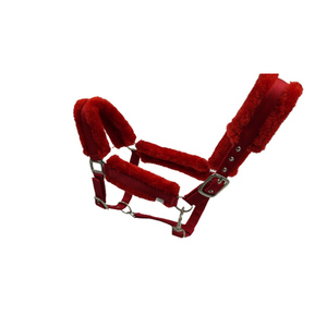 Caballo de moda PP Halter para montar a caballo, calidad prémium, compra a precio de fábrica - Product Image 2