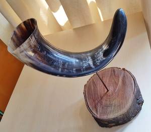 <b>Buffalo</b> <b>Horn</b> and Customized Size for Wood Stand Hotel Decorative <b>Horn</b> Cheap Price and Best Product Handcraft <b>Horns</b> - Product Image 6