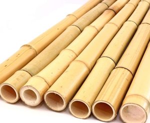 เสาไม้ไผ่ขนาด 20~30 มม. - Product Image 2