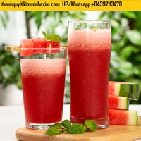 Hete Verkoop Watermeloenpuree Drink Sap Verse Stijl Goede Prijs Herkomst Vietnam