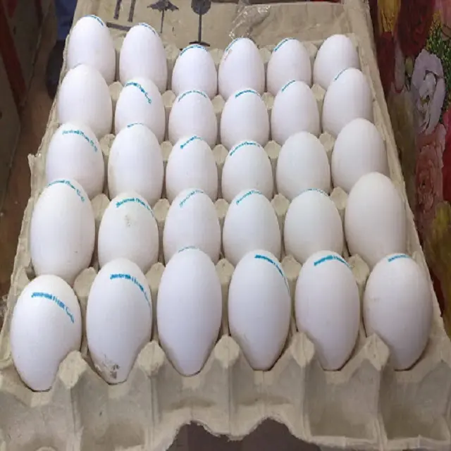 Best Selling Top Grade Fresh White Chicken Eggs Farm Fresh White Table Eggs From Hens