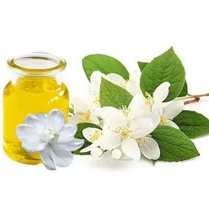 Jasmine Oil Bela at Best Rates Wholesaler of Jasmine Oil Bela Bulk supplier of Jasmine Oil Bela