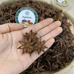 Anís de estrellas secas, anís de alta calidad en Vietnam, WhatsApp, 84, 36, 35, 65, 928 - Product Image 3