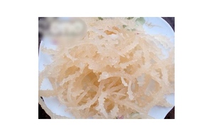 Eucheuma <strong>Cottonii</strong>/ <strong>Kappaphycus</strong> Alvarezii / Spinosum /Alice +84 904 183 651