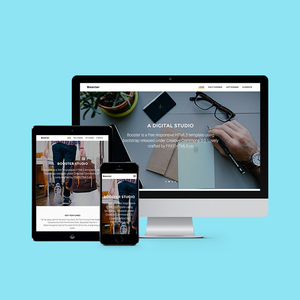 บริษัทพัฒนาธีมWordpressในอินเดีย | ได้รับรางวัลบริการออกแบบและพัฒนาWordPressที่กำหนดเองโดยWebroot Infosoft - Product Image 3