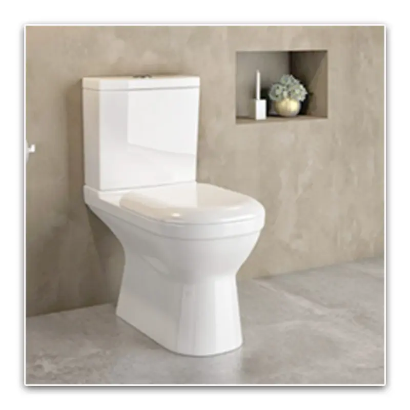 स्मार्ट टॉयलेट सीट बाथरूम क्लासिक क्लोज कपल्ड डब्ल्यूसी टू पीस 480 x 380 x 635 सेनेटरी वेयर