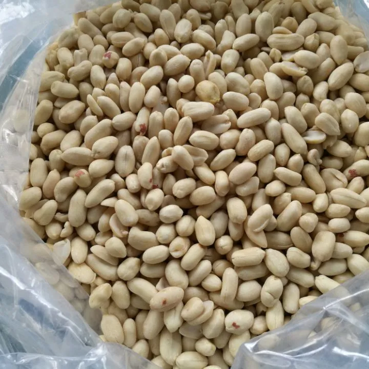 Peanut Kacang Diskon Besar Grosir Kualitas Tinggi Kacang Organik Massal Baru Lahir