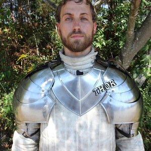 Gorget gótico Medieval con diseño de paudrons, metal sca, recreación, armadura pulida de plata, de la mejor calidad - Product Image 3