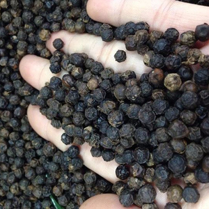 Top Black Pepper 580GL 570GL 550GL 500GL Vietnam Origin Premium Quality Natural Peppercorn for Export Wholesale - Product Image 1