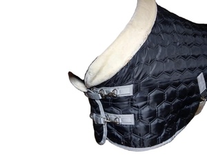 الأكثر مبيعًا سجادة حصان شتوية مستقرة عالية الجودة بساط Gsm بطانية ثابتة بألوان متنوعة للبيع بالجملة - Product Image 2