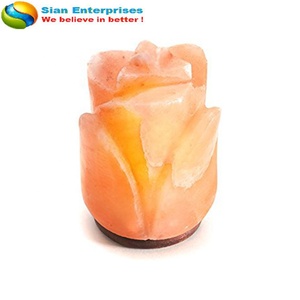 Lámpara de cristal Rosa tallada a mano de sal rosa del Himalaya, respetuosa con el medio ambiente, estilo Feng Shui, diseño de flores, Bombilla de cable eléctrico-Sian Enterprises - Product Image 2