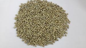 Pimienta Blanca Seca AD Cruda de Vietnam, Certificada por HACCP e ISO, con 2 Años de Vida Útil - Product Image 4