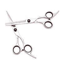 Ciseaux de Coiffure Professionnels pour Gauchers, Ensemble de Salon de Coiffure, Manche en Plastique, Lame en Acier Inoxydable, Pointe Affûtée, Ciseaux à Effiler