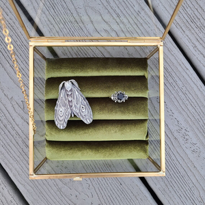 Velvet Lined <b>Glass</b> Ring <b>Box</b> - Product Image 1
