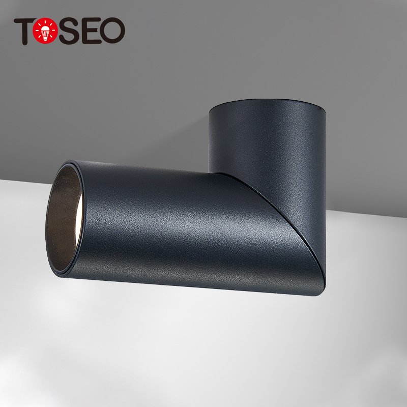 Gu10 Adjustable Aluminium Ceiling Downlight Cylinder Surface Mounted For Hotel