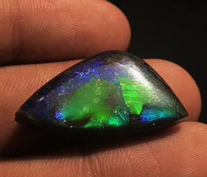 Canadien naturel Ammolite Forme Libre Cabochons Pierres Précieuses En Vrac - Product Image 1