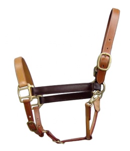 Halters de cheval de selle anglais personnalisés de qualité supérieure en cuir souple rembourré avec couleur et logo personnalisés en laiton - Product Image 5