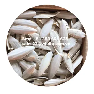 Kurutulmuş CUTTLE balık kemik/sepya/kuşlar için CUTTLE kemik/CUTTLE balık balıkçılık zambak + 84 906927736
