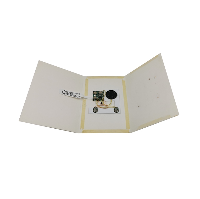 Mini Sound Recording Module PCBA for Greeting Cards or Gift Items