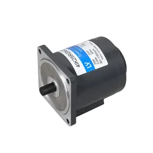 6W 60 mm 50/60Hz pequeño AC engranaje Motor para electrodomésticos