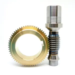 Factory Sale Customized Steel Brass Worm Gear Set for Worm Gear Reducer