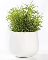 Bulat Fibrestone Pot Bunga-Indoor/Outdoor Planter-Harga Pabrik-Grosir Harga Planter