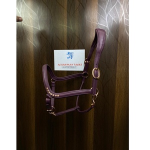 Licol de cheval en cuir indien durable fait à la main avec des cristaux scintillants pour le dressage, couleur et taille personnalisées, équitation - Product Image 2