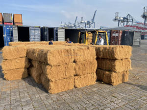 Fibra de coco Natural, fibra de coco, embalaje de fibra de coco para la exportación, alta calidad y el mejor precio de Vietnam - Product Image 2