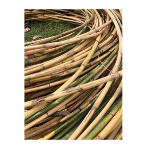 MATÉRIAU DE POLE EN ROTIN NATUREL pour MEUBLES - POLE EN ROTIN DU VIETNAM - POLE EN ROTIN POLI  WS0084587176063 - Product Image 1