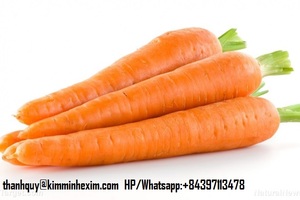 Cà rốt chất lượng tốt với giá cả hợp lý, cà rốt tươi sẵn sàng bán, xuất xứ Việt Nam - Product Image 6