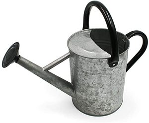 Canette à eau chromée de meilleure qualité, pour arrosage de Pot, fait à la main, bon marché, offre spéciale européenne - Product Image 1
