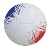 Catar-conjunto de entrenamiento oficial del mundo, equipo de velocidad de fútbol/agilidad, con amortiguadores, anillos hexagonales, conos, talla 5, 2022