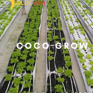 Coco grow bags-losa de coco para casa hidropónica verde - Product Image 1