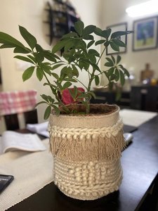 Jute de plantation rondes en tissu 100% naturel, sacs de plantation décoratifs pour bureau, Pot de fleurs de l'inde, vente en gros - Product Image 2