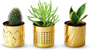 Brass <b>Small</b> Metal <b>Pots</b> with Black Stand Eco-Friendly Indoor Plant <b>Pots</b> - Product Image 5