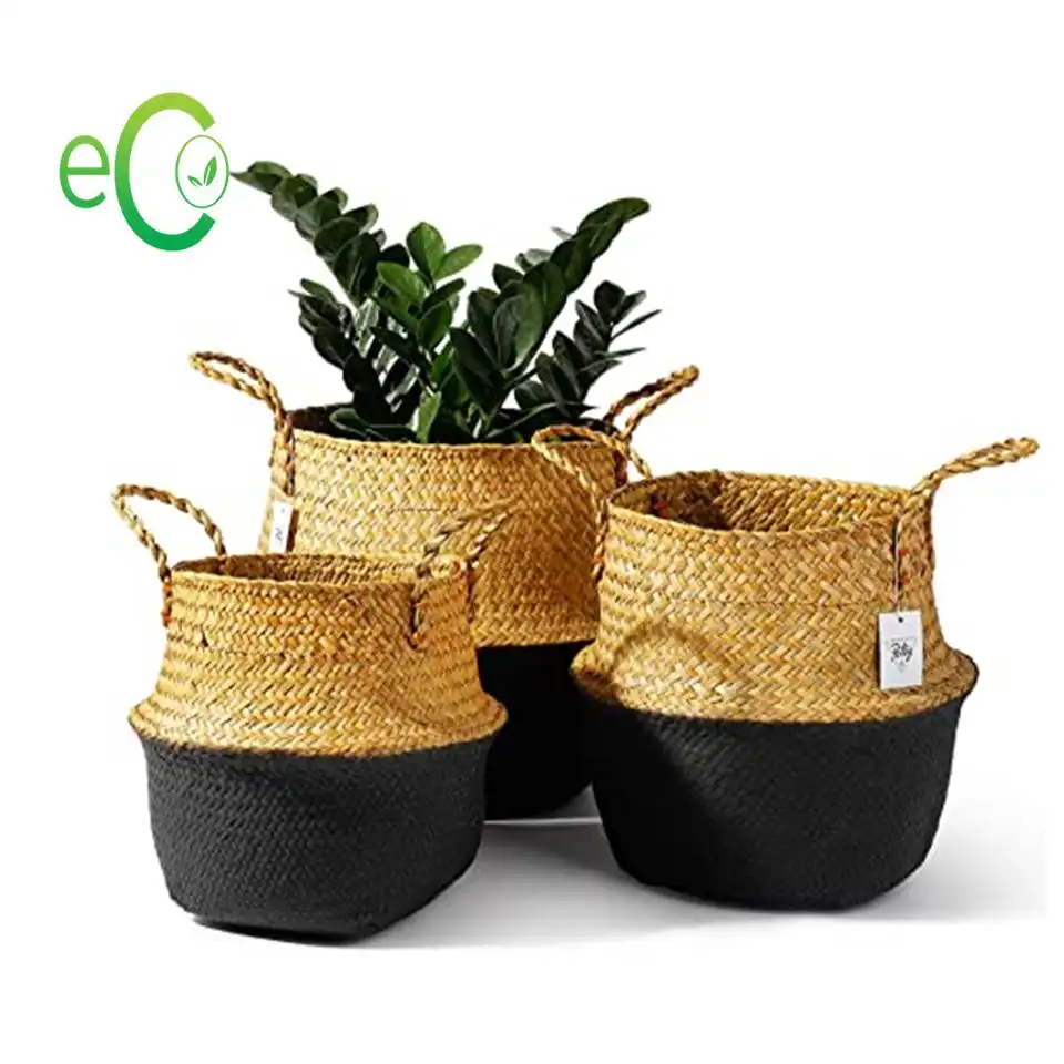 HOT 2024! DESIGN SEAGRASS BASKET/ SEAGRASS BASKET STORGE/ SEAGRASS BELLY BASKET DECOR WITH CHEAPEST PRICE