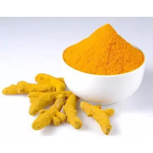 Premium Quality Turmeric Curcumin Powder Wholesale Bulk Price 100% Natural Tumeric Extract Powder