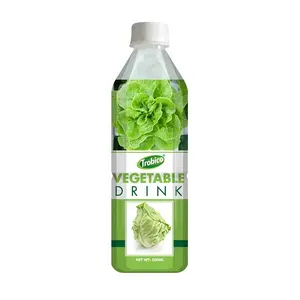 Meilleur fournisseur 500 ml de boisson végétale au fabricant vietnamien