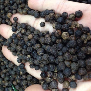 Todos los grados de pimiento negro de Vietnam pimientos picantes secos/callos 500g/L crudo agregar gran oferta especias individuales hierbas proceso de secado seco - Product Image 3