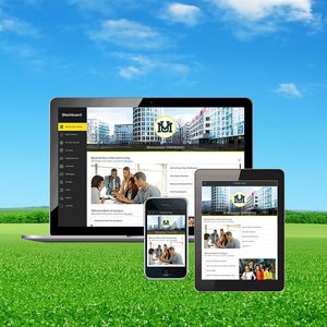 การออกแบบเว็บไซต์ชุมชนออนไลน์ที่ติดอันดับ | บริษัทชั้นนำของการออกแบบเว็บไซต์ชุมชน | การพัฒนาชุมชนออนไลน์ Se - Product Image 2