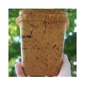 Pots en Coco de noix de Coco pour plantes rondes dégradables, paniers à Coco pour plantes fabriquées au Vietnam, or 99, nouveau Design 2021 - Product Image 4