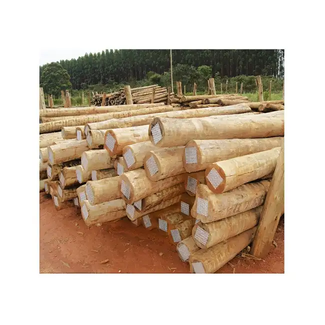 Natural Vietnam eukalyptus holz log mit günstigen preis für European markt 2019-2020