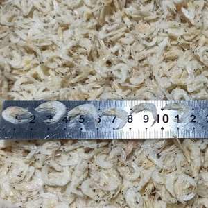 Crevettes séchées au soleil frites de haute qualité avec emballage en boîte - Product Image 2