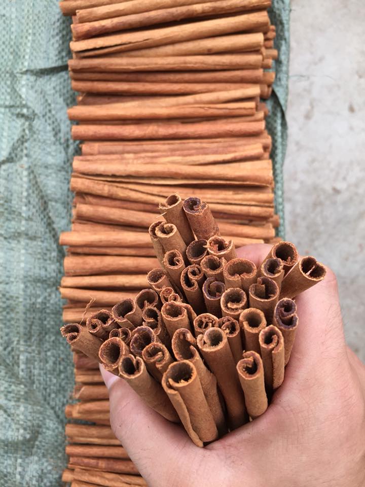 Cinnamon Single Spices Cassia Best Quality Low Price Dried Cinnamon Stick Spicy AD Single Herbs & Sp