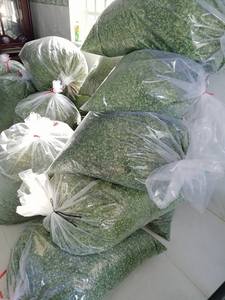 ใบมะรุมสีเขียวขาย - Product Image 3