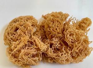 ยูเชียมา คอตตันนี/ไอริชมอส/ซีมอส แห้ง วิเวียน ฮา +84 33 88 20 462 - Product Image 6