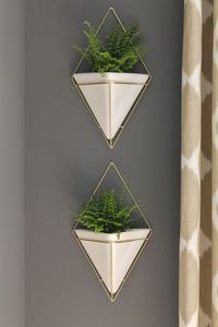 Pots de fleurs isolants, noirs et blancs, pour jardin, nouveau design, plantes revêtues de poudre, galvanisantes - Product Image 2