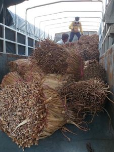 เชือกผักตบชวาแห้งราคาดีที่สุดผักตบชวาแห้งจากเวียดนาม // ราเชล: + 84896436456 - Product Image 6