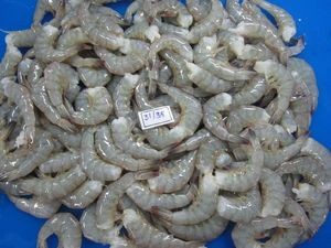 กุ้งเสือโคร่งธรรมชาติสีดำแช่แข็งกุ้งแดงสดกุ้งแช่แข็ง-กุ้งแช่แข็ง Vannamei ขาย10กก. IQF - Product Image 6