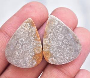 Wholesale Free Size Natural Fossil Coral Semi Precious Stone Pair Fossil Coral Matched Gemstone Pair - Product Image 3